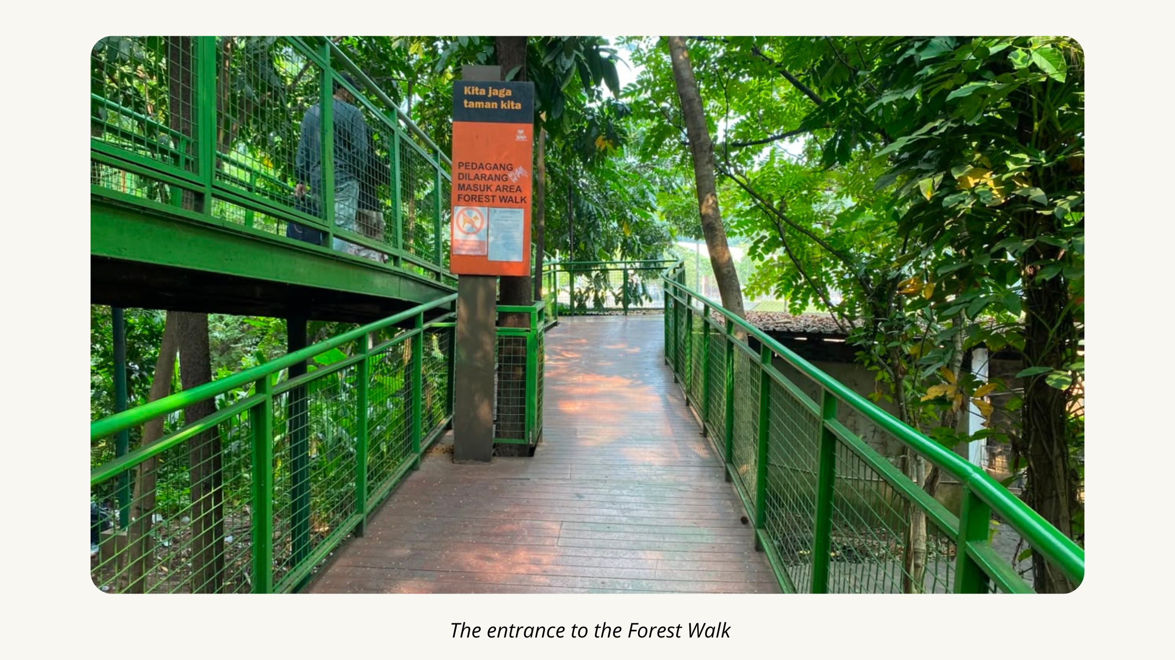 The entrance to the Forest Walk